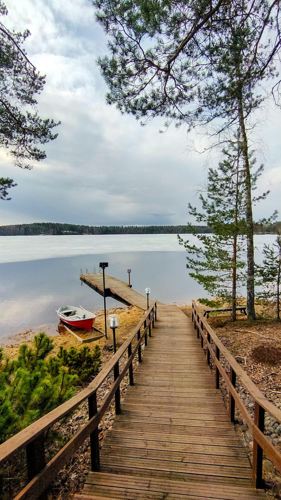 Wooden jetty leading into a lake through pine trees