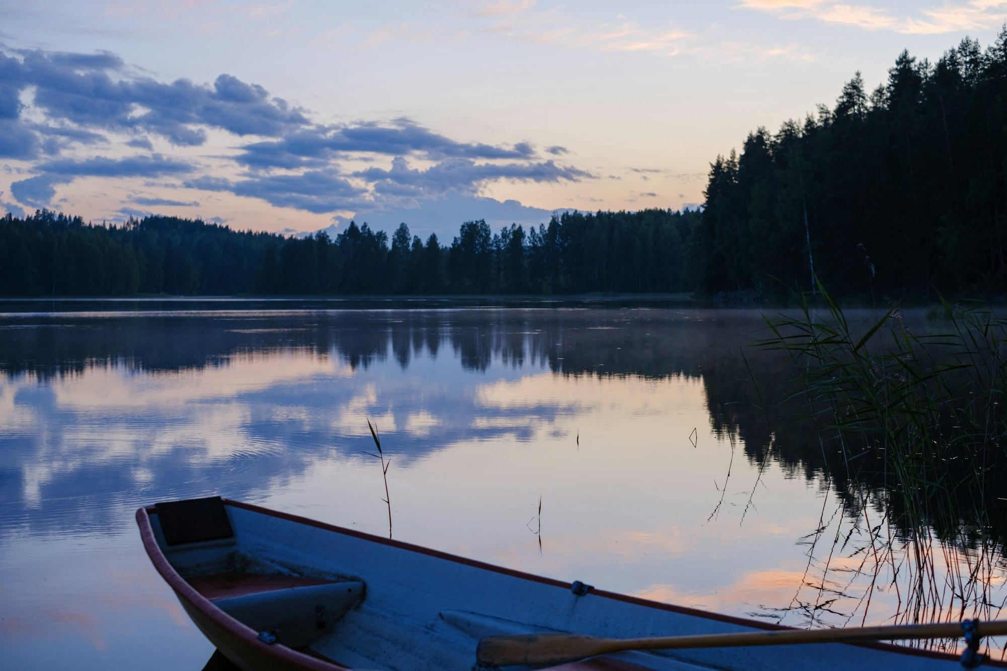 Calm lake at dusk with a rowing boat and pine forest
